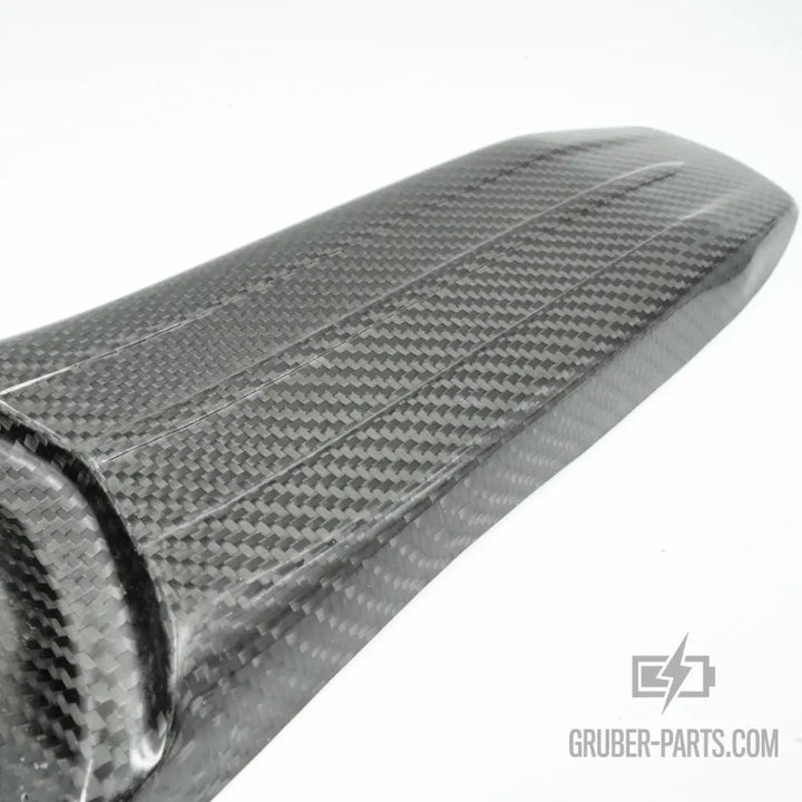 Carbon Schutzblech