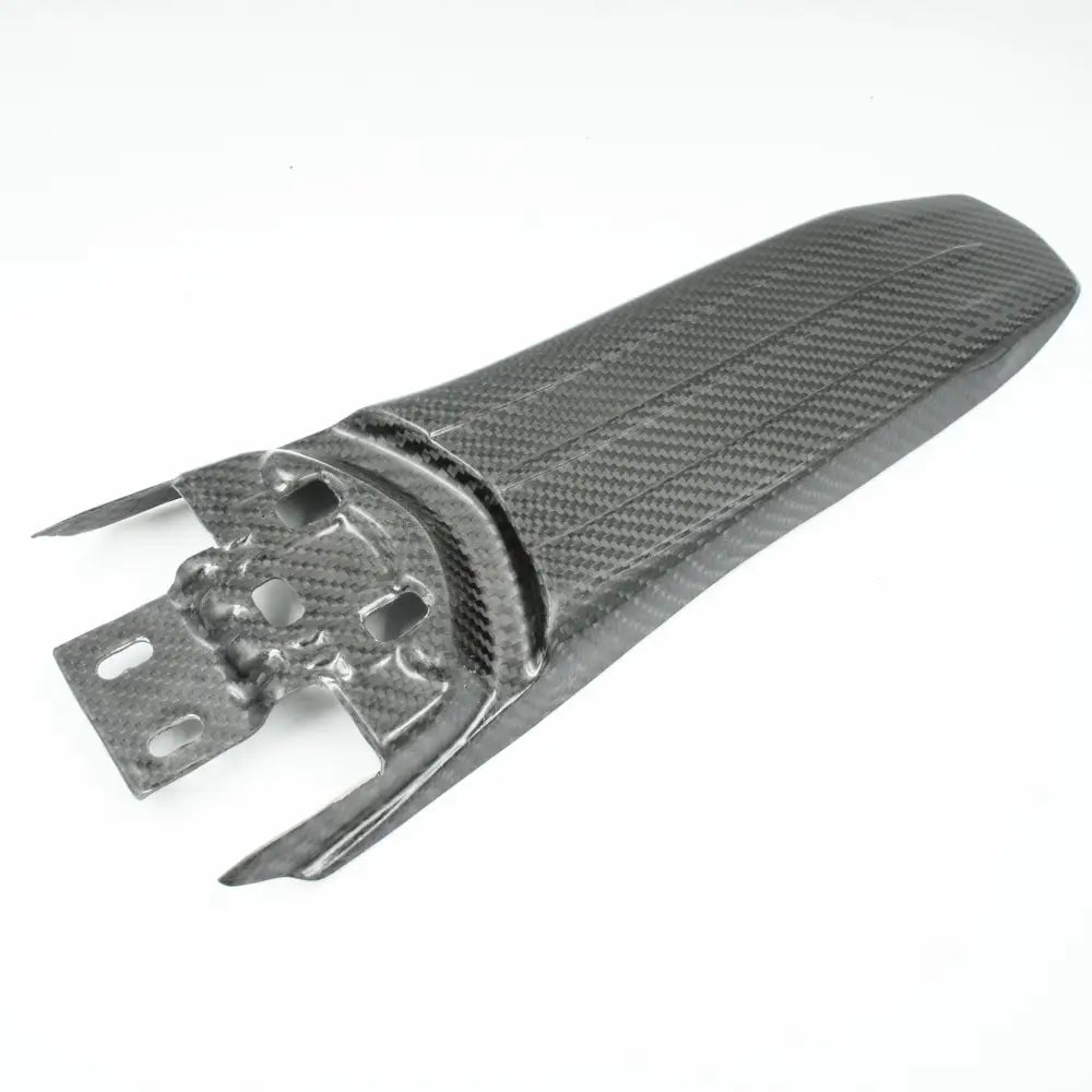 Carbon Schutzblech