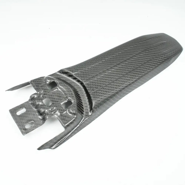 Carbon Schutzblech