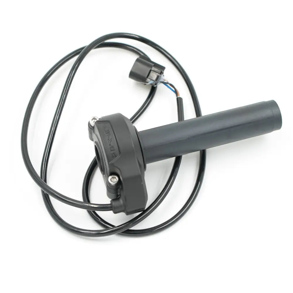 Elektronischer Gasgriff