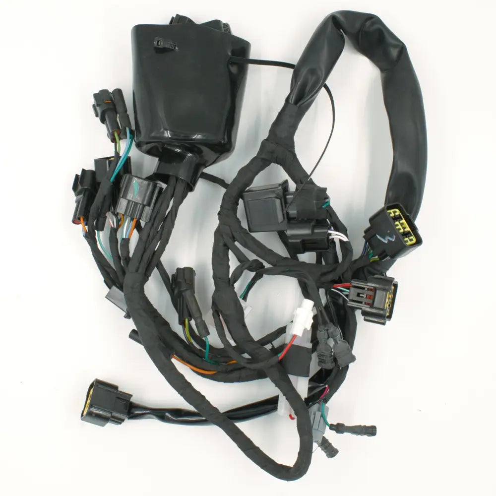 Kabelbaum L1E