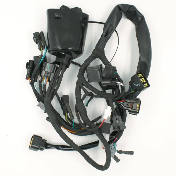 Kabelbaum L1E